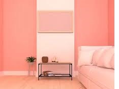 ترميم وتشطيب